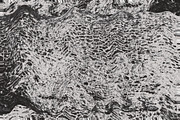 Twisted by Nature Vol 1, a Texture Graphic by Jennifer Lauren Creative (Thumbnail 16 of 19)
