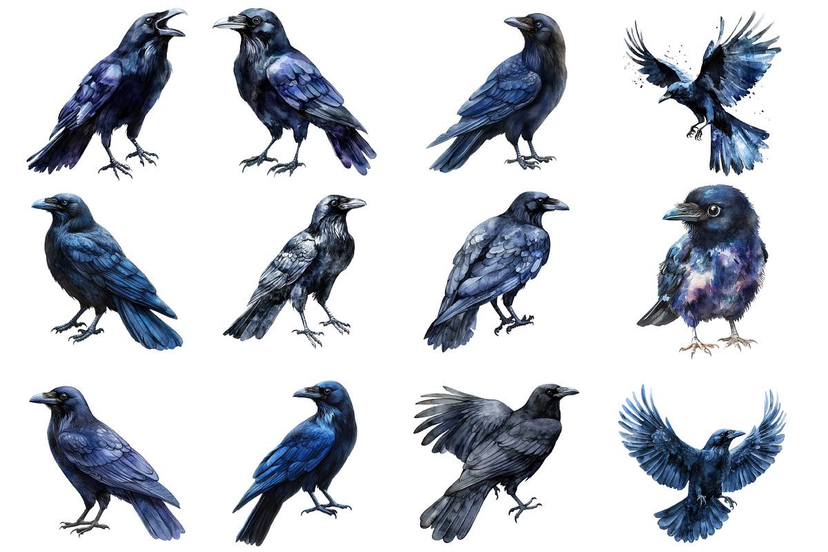 Watercolor Ravens Clipart, an Illustration by SinaCreation (Photo 2 of 5)