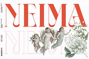 NEIMA, a Serif Font by Bagerich Type Foundry (Thumbnail 1 of 15)
