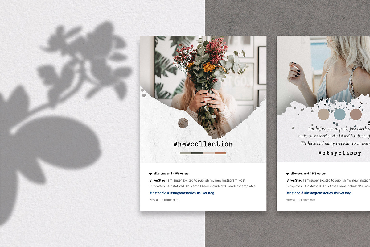 Canva Instagram Posts & Stories Pack, a Social Media Template by SilverStag Type Foundry (Photo 14 of 48)