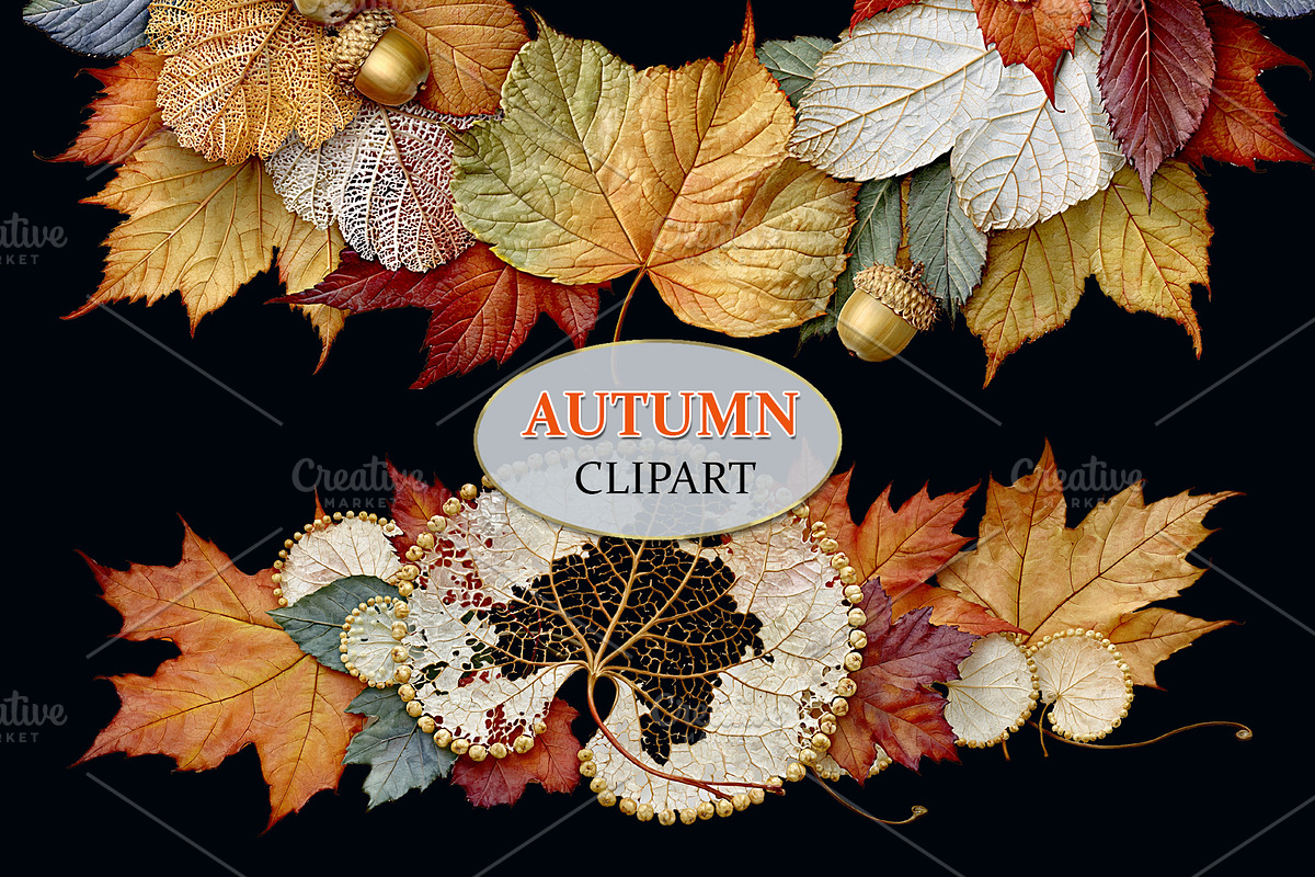 Luxury Clipart Autumn Leaves Wreath, a Decorative Illustration by Area (Photo 26 of 40)