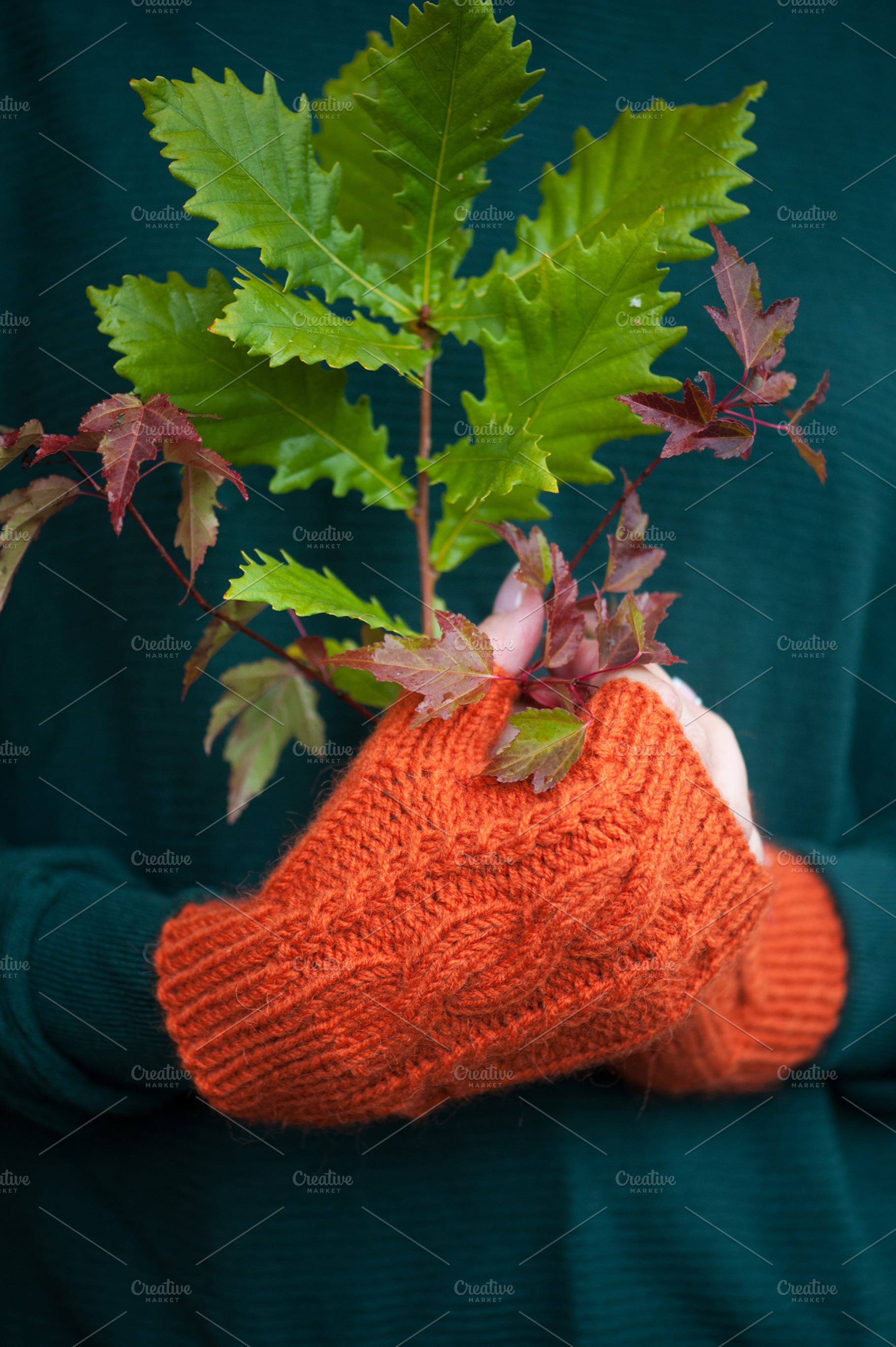 Female hands in orange mittens holding autumn leaves, a Beauty & Fashion Photo by MarinaMassel