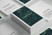 J U N I P E R  Branding Bundle!, a Packaging Mockup by 46&2 Collective (Thumbnail 11 of 21)