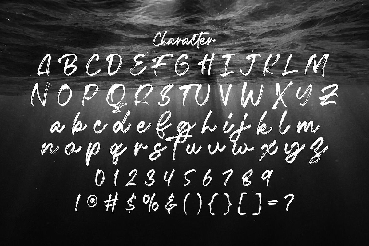 Fentry - Textured Brush Font, a Script Font by StringLabs (Photo 11 of 12)