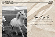 30 Beige Parchment Paper Textures, a Texture Graphic by DreamoraArt (Thumbnail 2 of 14)