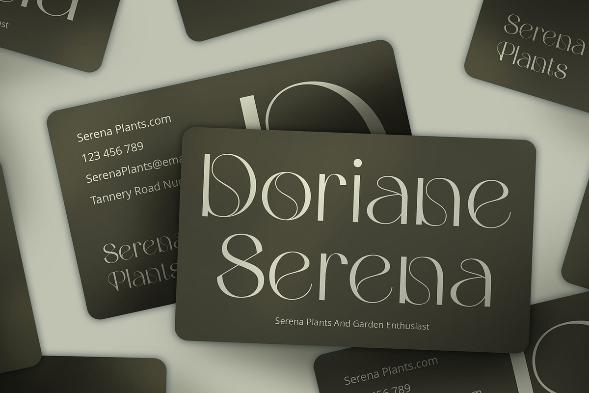 Merivale – Art Nouveau Font, a Sans Serif Font by Craft Supply Co. (Photo 4 of 8)