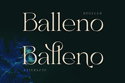Reglani - Elegant Minimalist Serif, a Serif Font by Luna Shop (Thumbnail 2 of 11)
