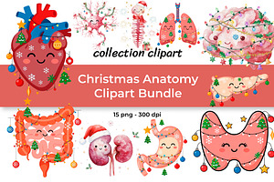 Christmas Anatomy Clipart Bundle, a Seasonal Illustration by InkyQueenArt