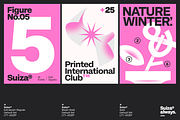 Suiza, a Sans Serif Font by Latinotype (Thumbnail 3 of 16)