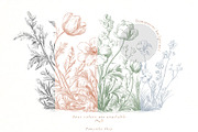Baroque collection-Toile De Jouy, a Decorative Illustration by Pamyatka Shop (Thumbnail 8 of 14)
