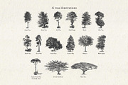 Vintage Tree Vector Bundle Vol. 5, an Object Illustration by Seaquint (Thumbnail 2 of 5)