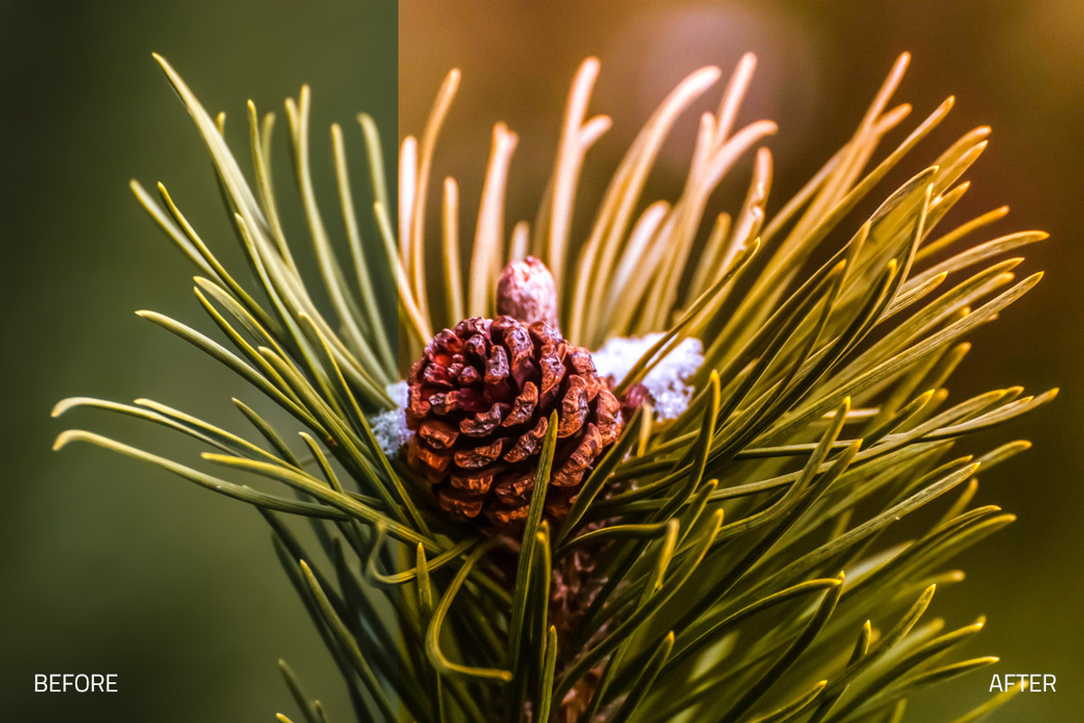 Radiance Lightroom Presets, an Action Add-On by RockShutter (Photo 5 of 6)