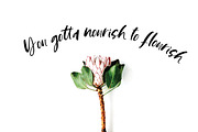 Ruby Dreams font + dingbats, a Script Font by Creator Goodies (Thumbnail 5 of 9)