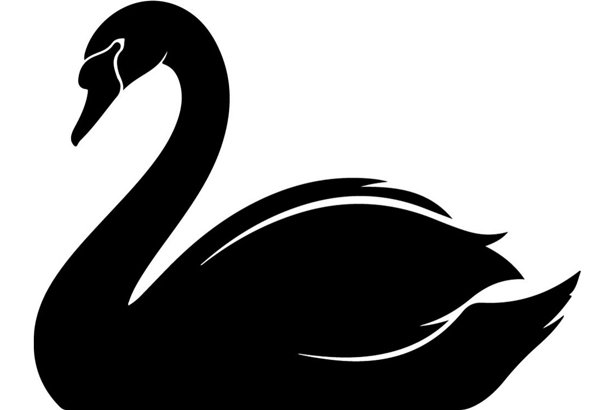 Bird Silhouettes Flying Sideways, an Animal Illustration by Designer_Momina (Photo 16 of 21)