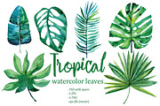 Watercolor tropical leaves, an Illustration by Olesya Morokhovets (Thumbnail 2 of 8)