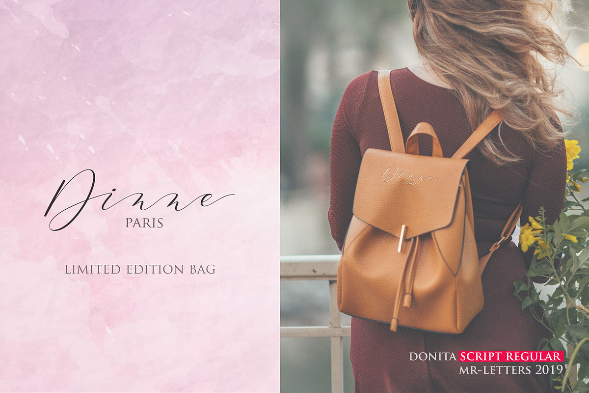Donita Script preview 8