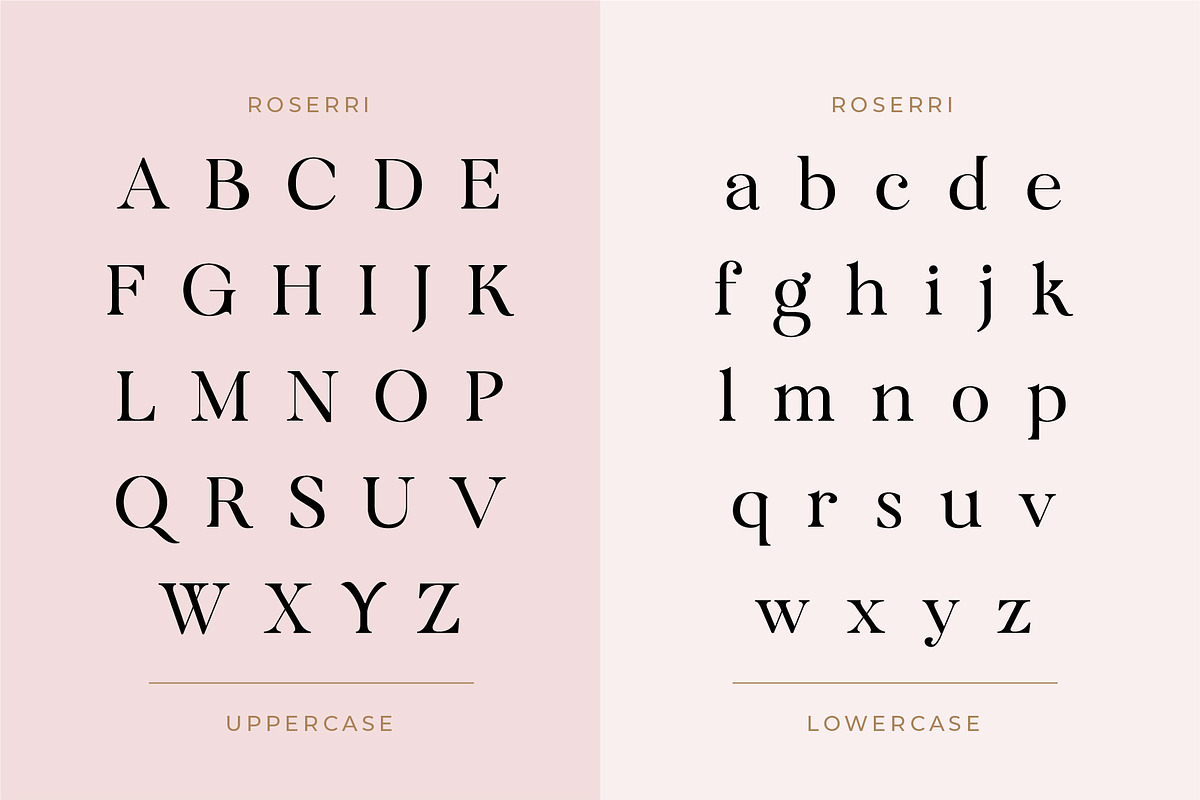 Roserri - Modern Ligature Serif, a Serif Font by Vesvocrea (Photo 4 of 15)
