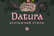 Datura —Fantasy Retro Brush, a Sans Serif Font by Pedroglifos (Thumbnail 1 of 12)
