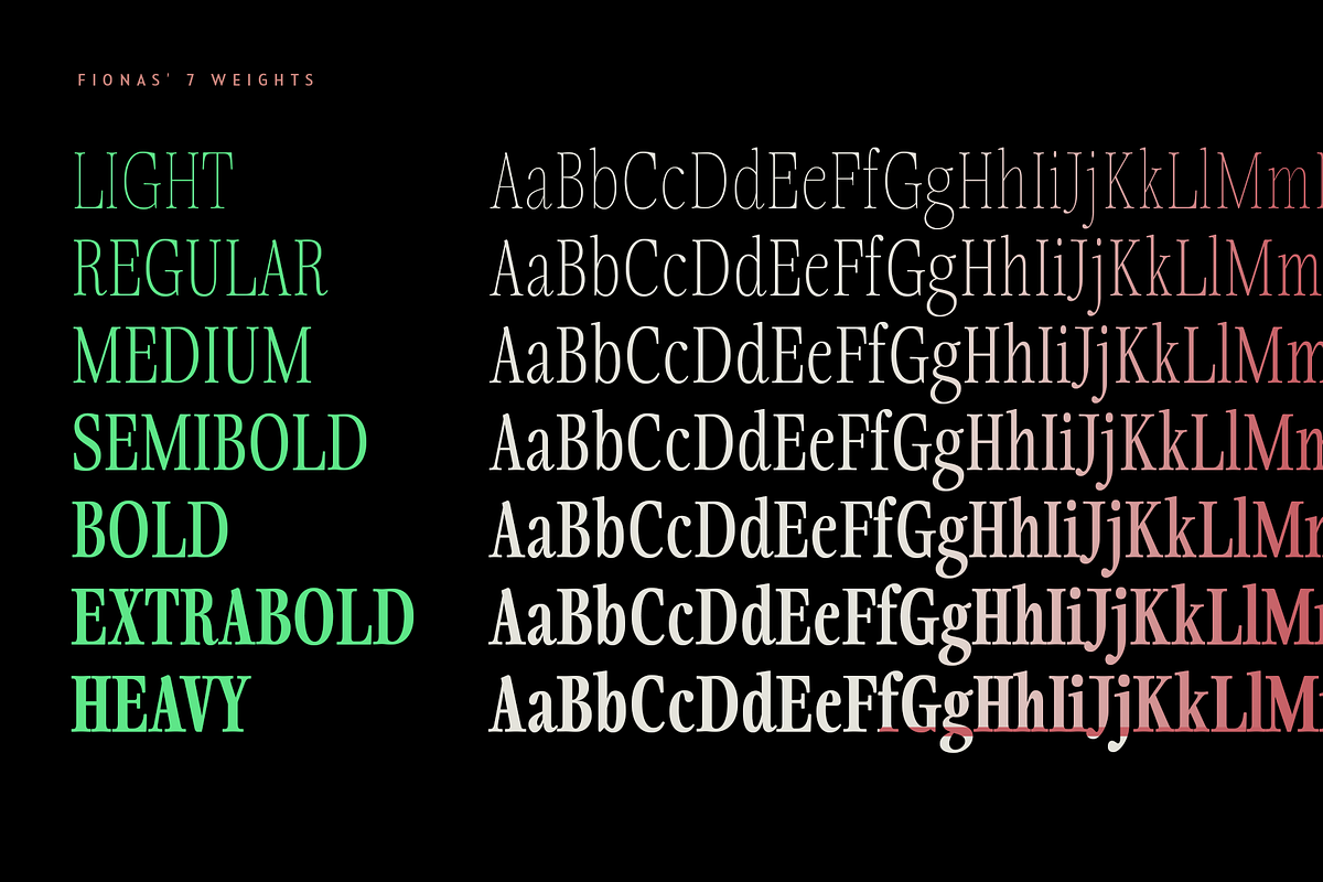 Fionas - 14 Fonts, a Serif Font by Nasir Udin (Photo 7 of 17)