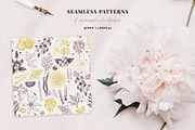 Aromatic Plants & Flowers Vector Set, a Healthcare Illustration by Yevheniia (Thumbnail 8 of 9)