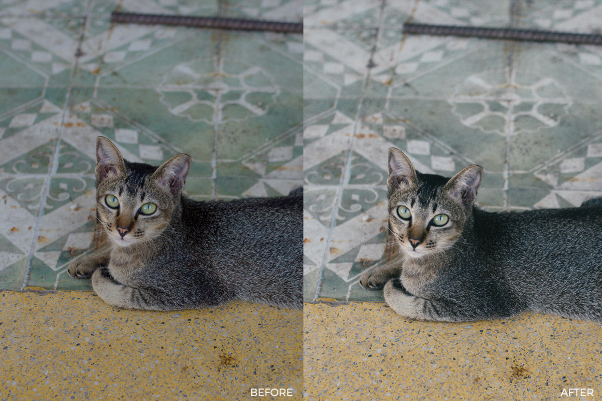 Fuji Inspired Lightroom Presets preview 4