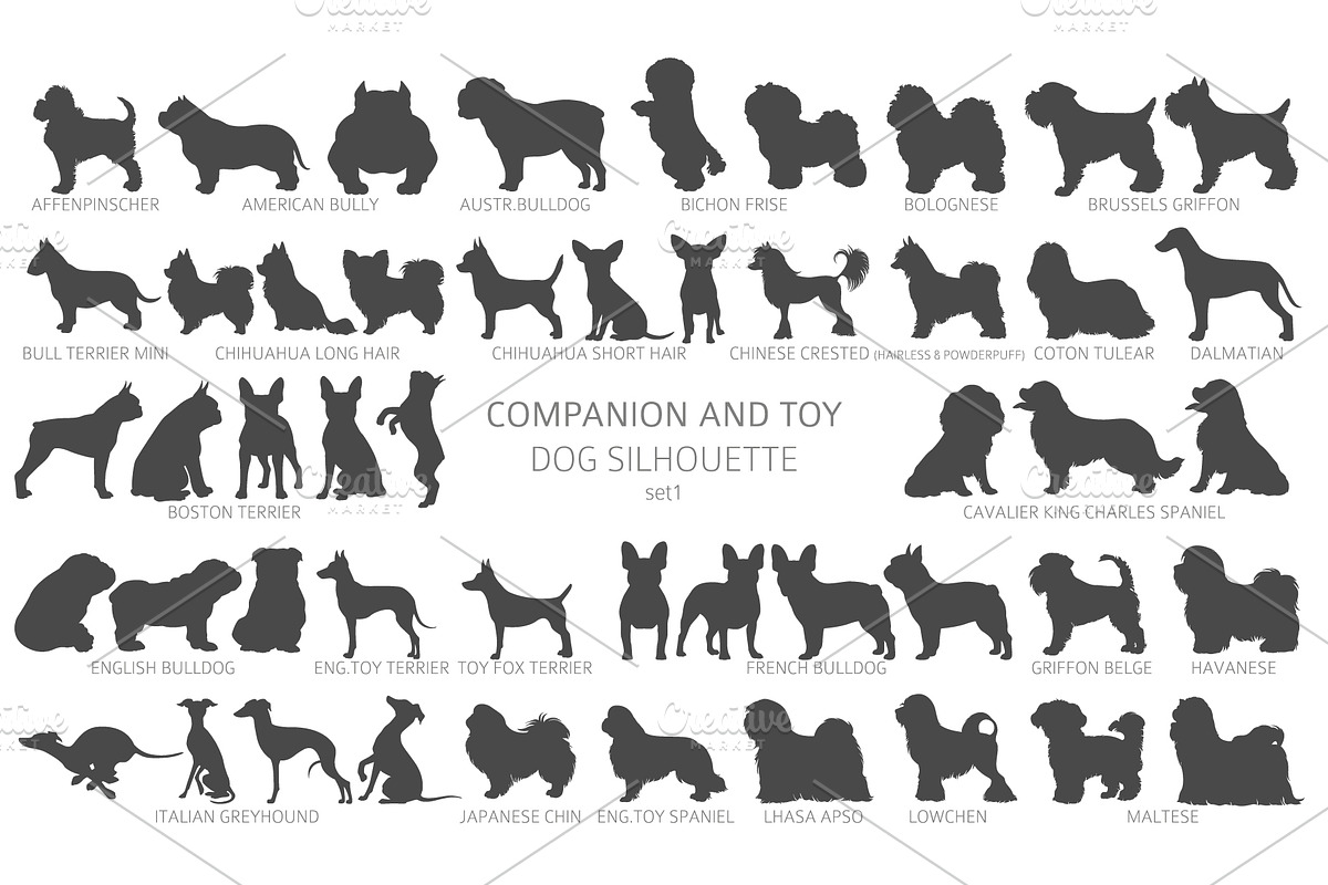 Companion and Toy Dogs Silhouettes, an Animal Illustration by pet design shop (Photo 5 of 15)