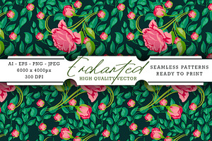 Enchanted Patterns Pack