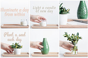 The Green, The White and The Bamboo, an Arts & Entertainment Photo by Sound of Color (Thumbnail 4 of 10)