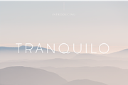 Tranquilo | Sans Serif Font, a Sans Serif Font by Vanem Studio (Thumbnail 8 of 10)
