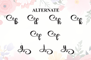 Angela | Script Font, a Handwritten Font by Scratchones (Thumbnail 8 of 9)
