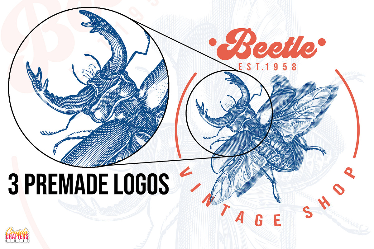 300+ Vintage Insects & Bugs Etchings, a Graphic by Craftsy Crafters (Photo 3 of 8)