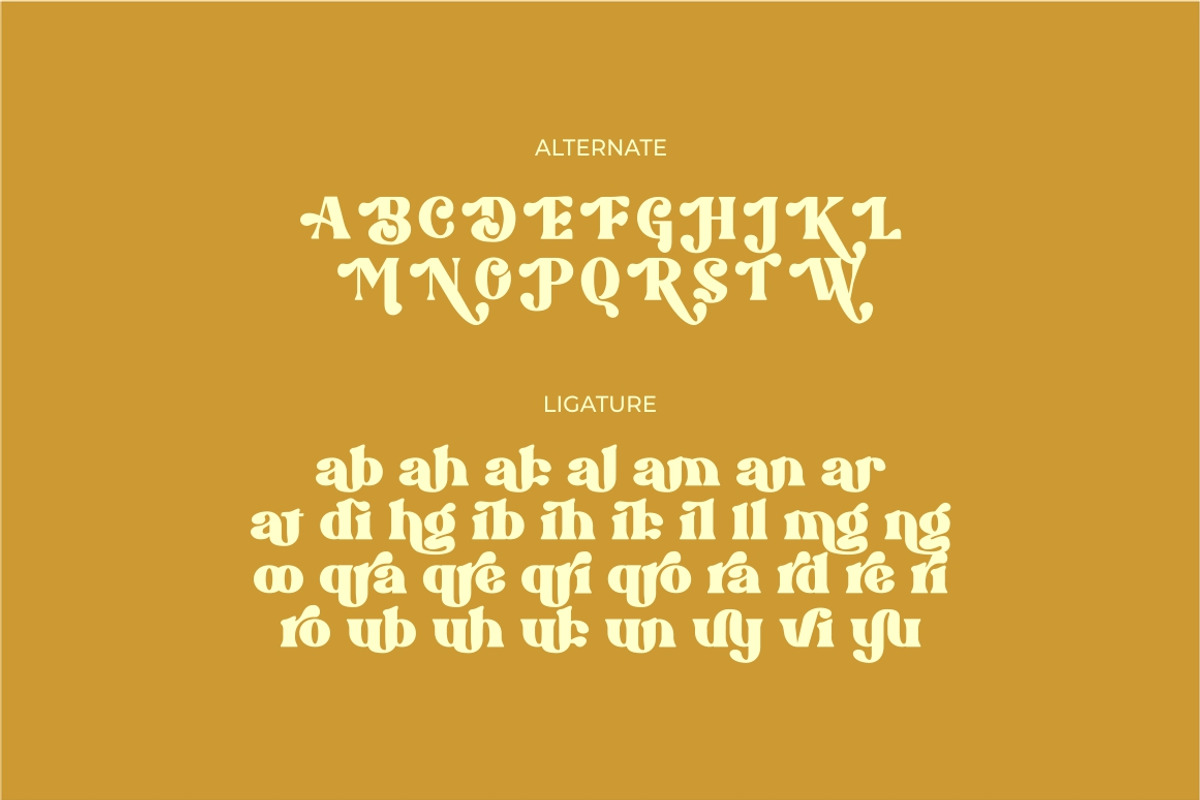 Brigast modern retro typeface, a Serif Font by suhadidesign (Photo 17 of 17)