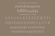 Lisandra A Modern Font Serif, a Serif Font by Storytype Studio (Thumbnail 14 of 15)
