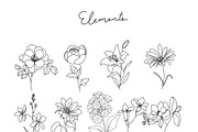 Minimal line flower botanical doodle, a Decorative Illustration by MooBeer (Thumbnail 4 of 8)