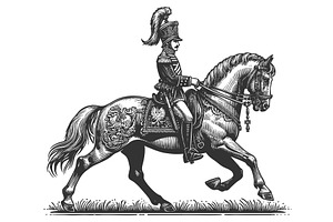 Polish Hussar Cavalry Officer On