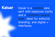 Kaluar Family | Intro 60% OFF, a Sans Serif Font by Lettertype Studio (Thumbnail 9 of 13)