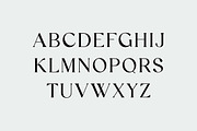 Giblastine Modern Serif Display Font, a Serif Font by UICreative (Thumbnail 2 of 13)