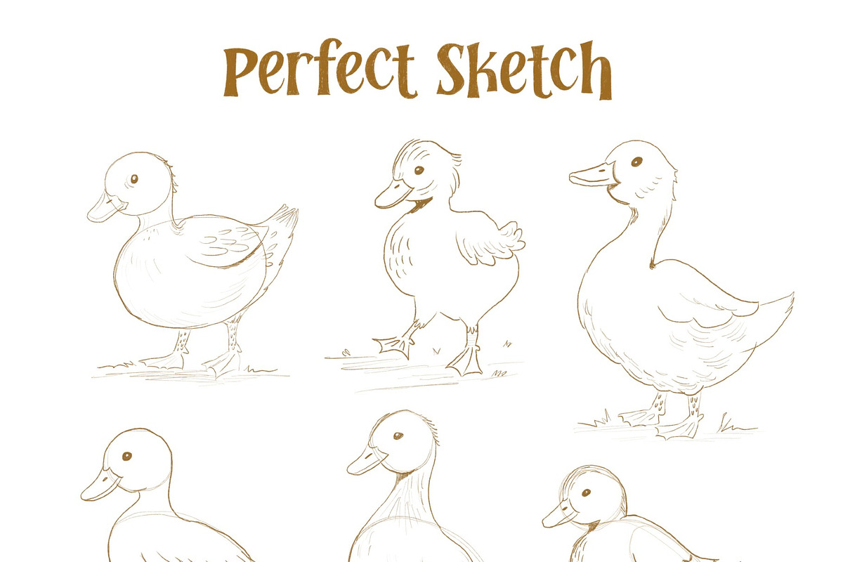 Sketchbook Brush Set for Procreate, a Brush Add-On by Sometimes Crafter Studio (Photo 9 of 17)