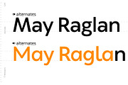 TT Wellingtons, a Sans Serif Font by TypeType (Thumbnail 12 of 15)