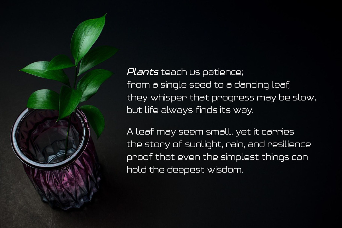 Asmora, a Sans Serif Font by almazstudio (Photo 6 of 9)