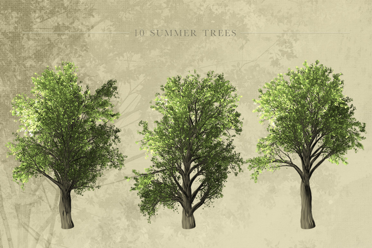 Zelkova Serrata Trees, an Object Graphic by Athlos ArtLab (Photo 5 of 5)