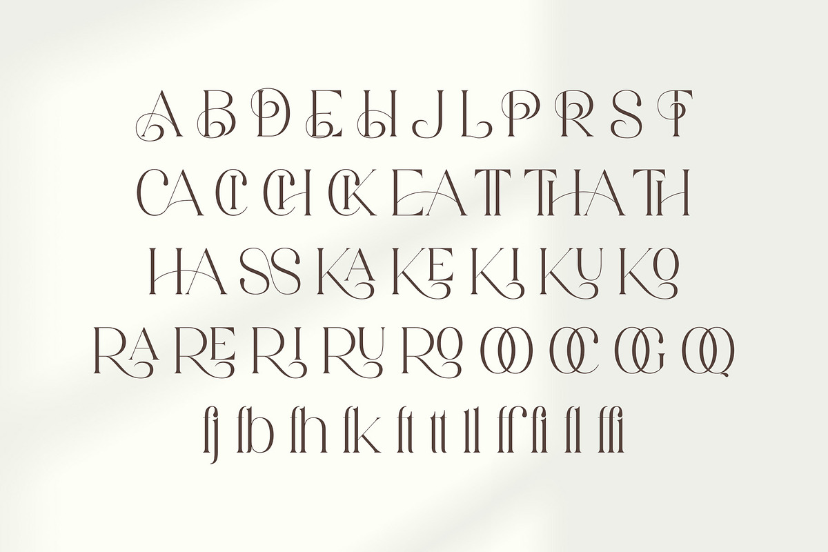 Aretha - Modern Serif Font, a Serif Font by Aqeel_Art (Photo 11 of 12)