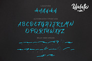 Billy Ohio Typeface, a Script Font by alit design (Thumbnail 15 of 15)