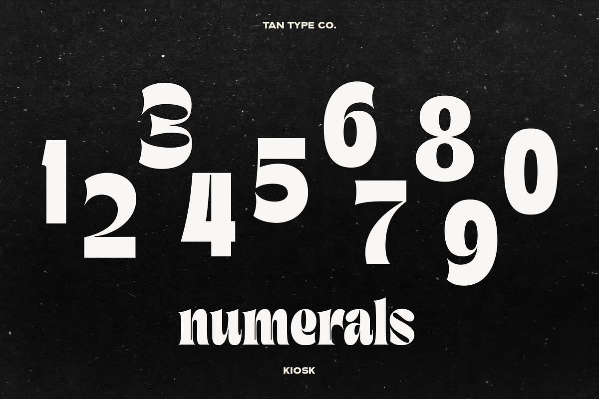 TAN - KIOSK, a Serif Font by TanType (Photo 9 of 16)