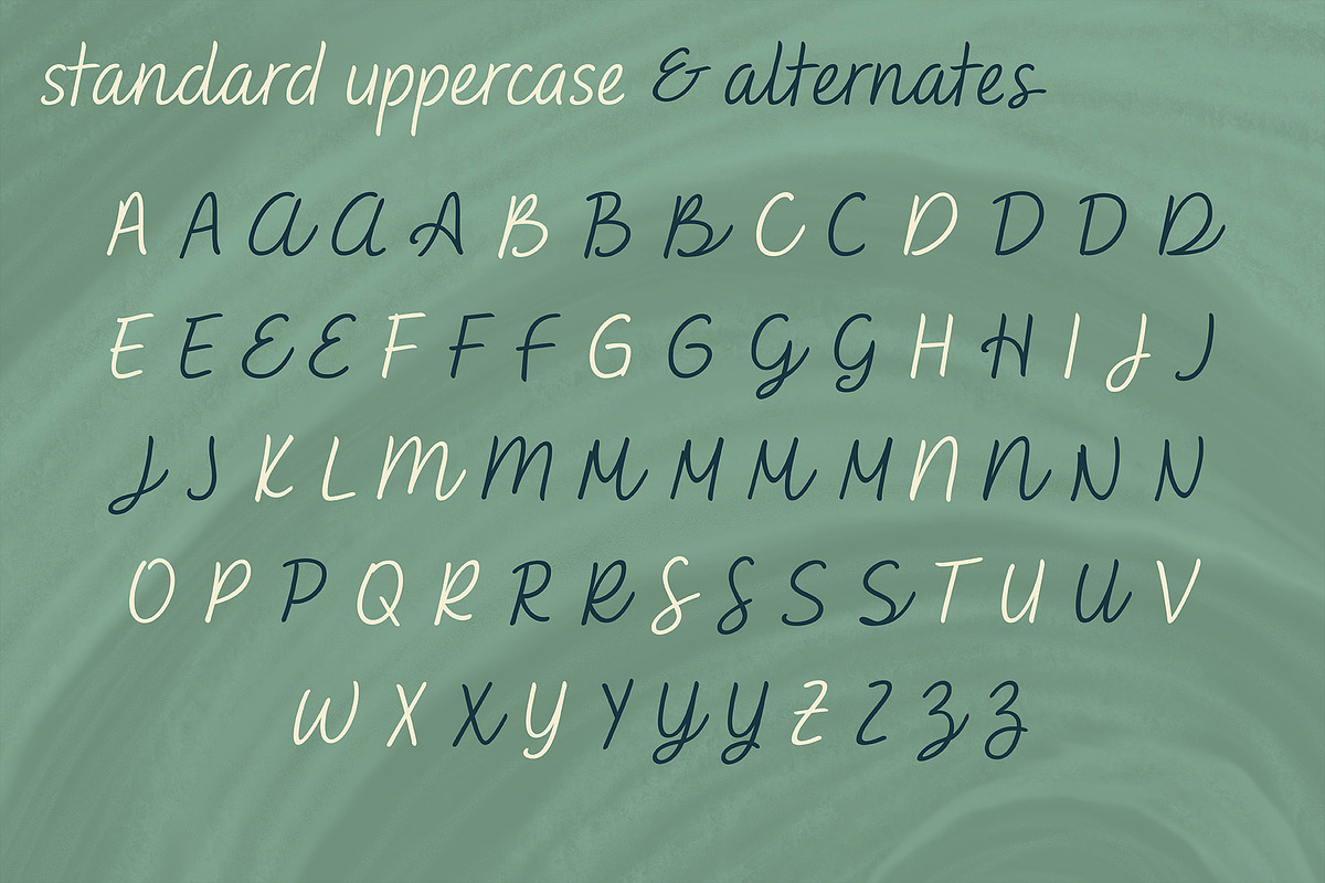 Saveria Handwritten Script Font, a Font by Evoke Type Studio (Photo 12 of 15)