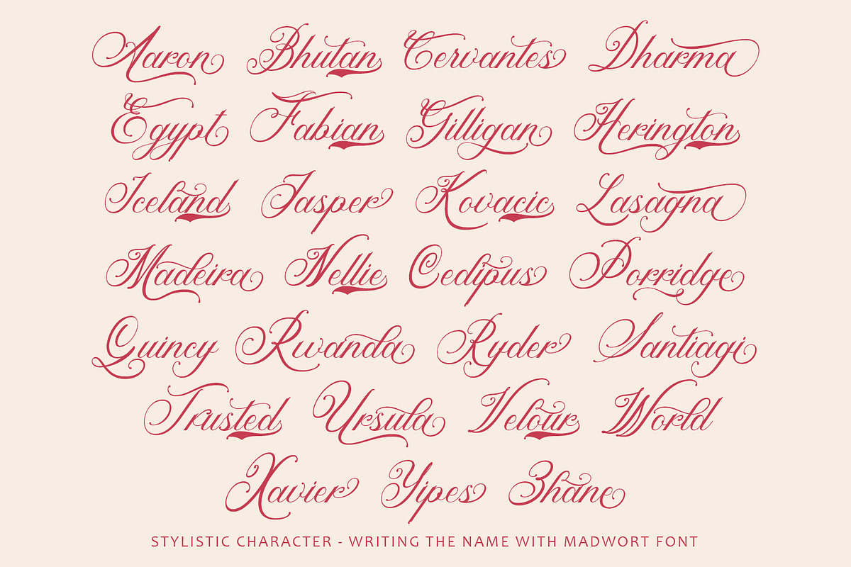 Madwort - Elegant Script Font, a Script Font by Arendxstudio (Photo 4 of 12)
