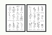 Wildflowers and herbs line sketch, a Decorative Illustration by irina.vaneeva (Thumbnail 4 of 10)