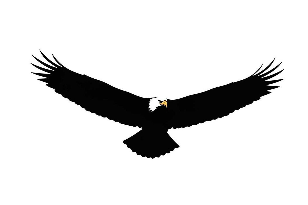 50 Flying Eagle Silhouette Vector Bu, an Illustration by Designs_River (Photo 17 of 51)