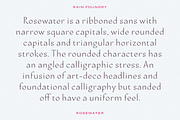 Rosewater (Variable), a Sans Serif Font by Rain Foundry (Thumbnail 2 of 10)
