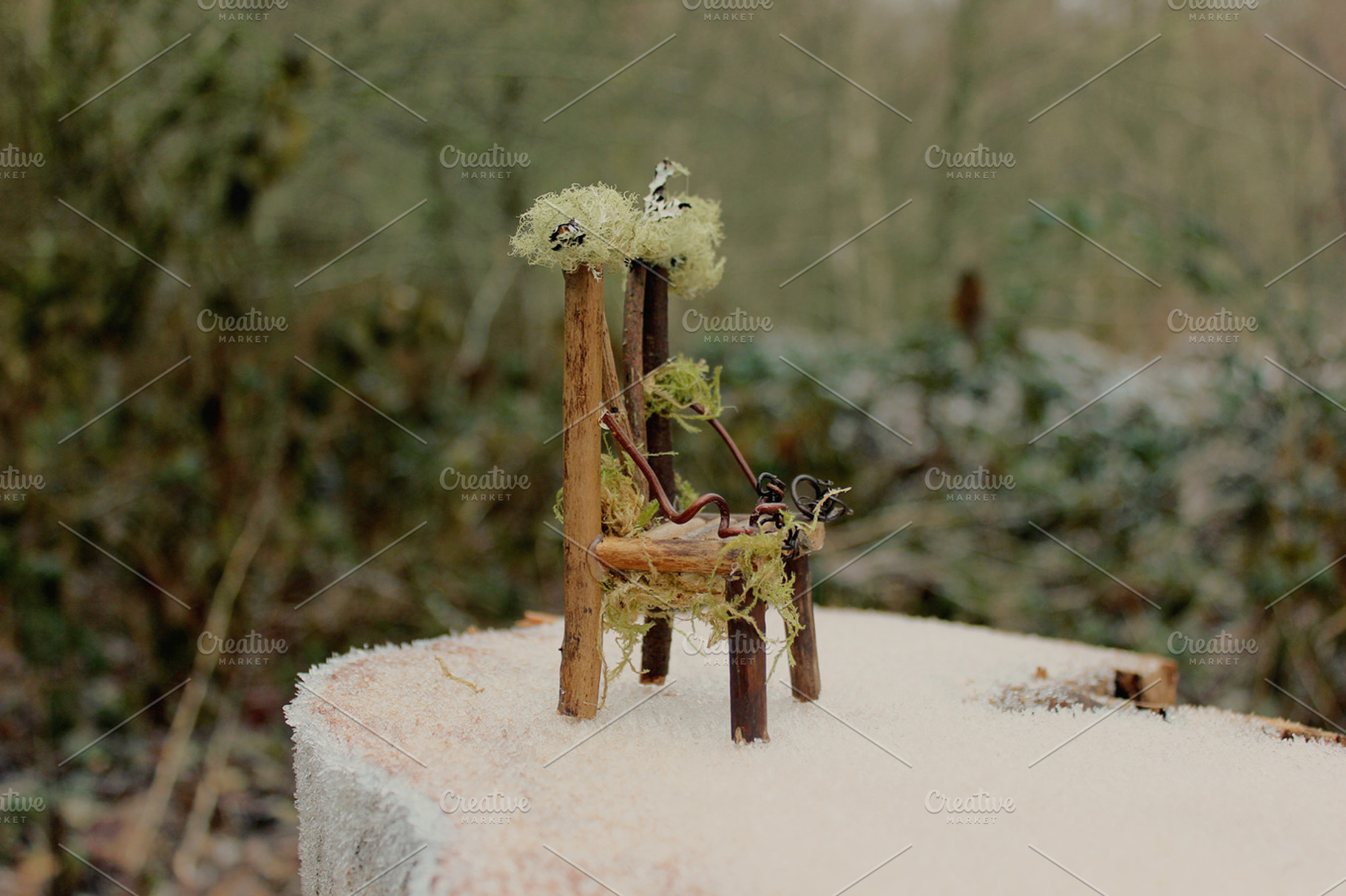A Tiny Fairy Chair, a Nature Photo by Creatively Happy Studio